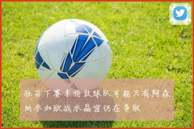 独苗下赛季伦敦球队可能只有阿森纳参加欧战水晶宫仍在争取